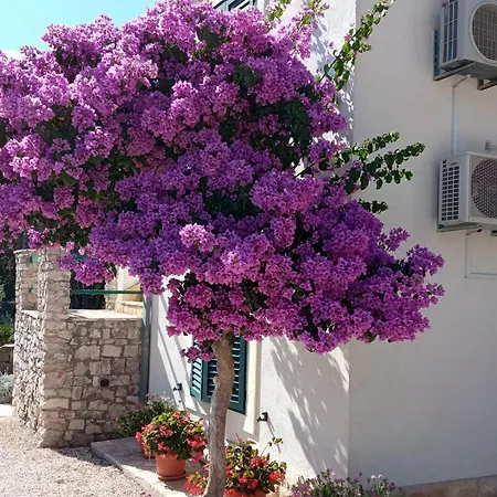 With Parking Space Milna, Brac - 11088 شقة