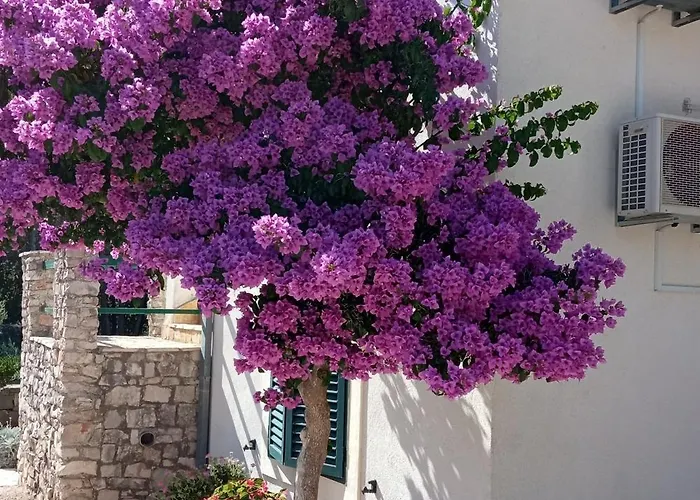 With Parking Space Milna, Brac - 11088 شقة